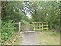 TQ4992 : Entrance into Havering Country Park by Marathon