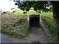 NT9952 : Ice house on Bank Hill, Berwick by Stephen Craven