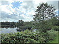 SN0516 : Lake at Park House Farm by PAUL FARMER