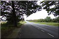 TF8810 : The A47 at Necton by Geographer