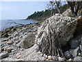 SY3190 : Lean-To Shelter on Pinhay Beach by Nigel Mykura