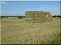 SO7844 : Hay bales on Malvern Common by Philip Halling