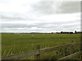 SE4860 : RAF Linton-on-Ouse - runway by Stephen Craven