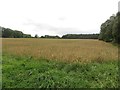 NZ1996 : Arable land south of Eshott Birnie by Graham Robson