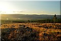 NN8299 : Clearing on Creag Dhubh, Cairngorms by Andrew Tryon