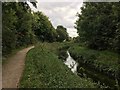 SK5444 : River Leen and NCN route 6 south of Bulwell by David Lally