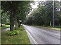 TG2010 : Bus stop on Drayton Road (A1067) by JThomas