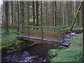 NT3308 : Footbridge over the Aithouse Burn by Karl and Ali