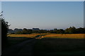 TM4458 : View over Aldeburgh golf course to the River Alde by Christopher Hilton