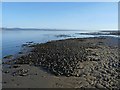 NH8185 : Mussel scalp, Whiteness Sands, Ross and Cromarty by Claire Pegrum