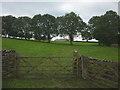 SD7766 : Gate on footpath near Lawkland by Karl and Ali