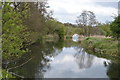 TL7986 : River Little Ouse by N Chadwick