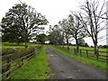 NZ0449 : Entrance drive to Calf Hall by Robert Graham