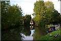 TL4712 : River Stort above Harlow Mill Lock by Christopher Hilton