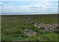 TA3518 : Fence across the Welwick Saltmarsh by Mat Fascione