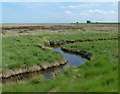 TA3318 : Creek on the Welwick Saltmarsh by Mat Fascione