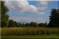 TL5238 : View towards Saffron Walden from Audley End by Christopher Hilton