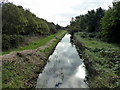 TQ6103 : Willingdon and West Langley Sewer by PAUL FARMER