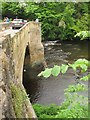 SJ2642 : The river Dee at Pont Cysylltau by Stephen Craven