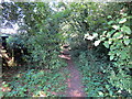 SJ3079 : Public Footpath past Cherry Farm by Jeff Buck