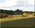 TM2447 : The A12 approaching Woodbridge, seen from the railway by Christopher Hilton