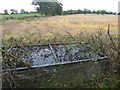 TQ2998 : Old drinking trough next to The London LOOP by Marathon