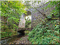 NH6955 : Disused Railway Bridge over the Avoch Burn by valenta