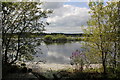 SJ5571 : Blakemere Moss by Jeff Buck