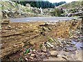 NY9555 : Sandstone quarry face, Ladycross Bank Quarry by Andrew Curtis