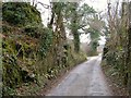 SX7655 : Lane at Dottin's Quarry by Derek Harper