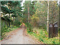 NJ0119 : Forest road heading south away from Nethy Bridge by Trevor Littlewood