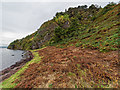 NH6852 : Shoreline at Craigiehowe by valenta