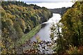 NT5833 : Tweed view downstream, Old Melrose by Jim Barton