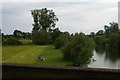 SU6189 : Picnickers by the Thames, from Wallingford Bridge by Christopher Hilton