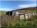 NS2159 : Sheepfold - Largs by Raibeart MacAoidh