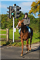 TQ2057 : Equestrian crossing by Ian Capper