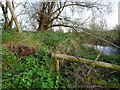 SK1929 : Former tramway bridge abutment by Ian Calderwood