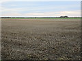 TA1842 : Stubble field near Great Hatfield by Jonathan Thacker