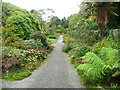 NX0942 : Path on the east side of the walled garden, Logan Botanic Garden by Humphrey Bolton