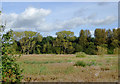 SJ9621 : River Sow flood plain south-west of Great Haywood, Staffordshire by Roger  D Kidd