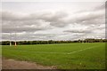 SJ3281 : The playing field at Wirral Rugby Club by Jeff Buck