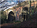 SP3677 : Sowe Viaduct, Willenhall, southeast Coventry by Robin Stott