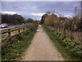 SJ6674 : Path to the West of New Warrington Road by David Dixon