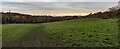 TQ2786 : London Skyline from near Kenwood, Hampstead Heath by Christine Matthews