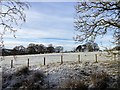 NZ1648 : Grazing field under snow by Robert Graham