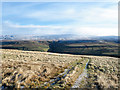 SD9674 : Hill track above Cam Pasture by Trevor Littlewood