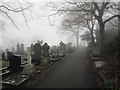 SJ9888 : Mellor Churchyard by Stephen Burton