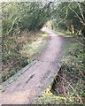 SP3879 : The Sowe Valley footpath through a blackthorn thicket, Walsgrave, east Coventry by Robin Stott