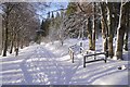 NT2741 : Snow covered road, Glentress Forest by Richard Webb