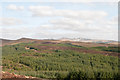 NN1122 : Coniferous plantations below Creag Bracha by Trevor Littlewood